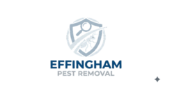 Effingham Pest Removal